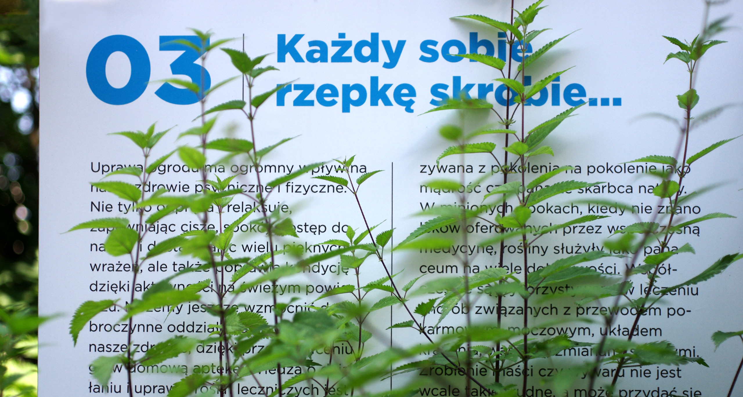 Ogródki Rodzinne